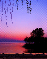 [原创][小秀]收到你的爱,晚风拂柳 [复制链接]查看:305回复:24